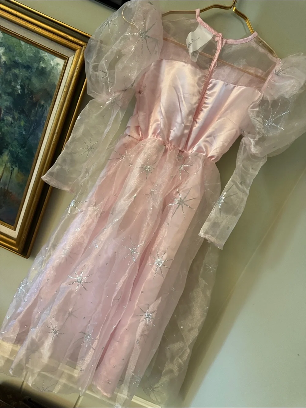 Glinda GOOD witch Pink Fairy Dress Kids Halloween Costume S 4-6 yrs Wizard of Oz